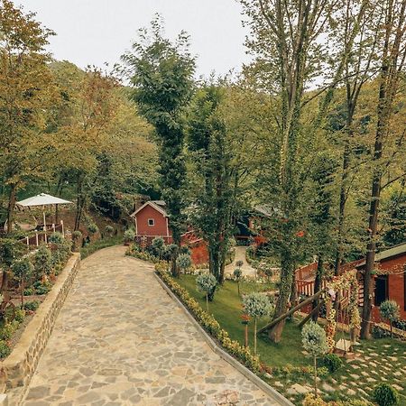 Sapanca Casamia Suit Buitenkant foto